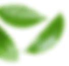 shape